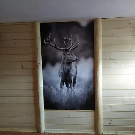 Rum i privatbostad Janos Goscinne *